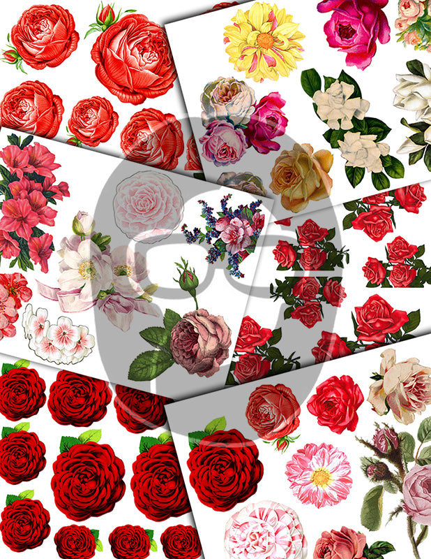 Fussy Cut Flowers, Pink Roses -42pg Digital Download- Junk Journal Kit, Spring Floral Clipart, Flower Bouquet, Vintage Clip Art, Red Roses