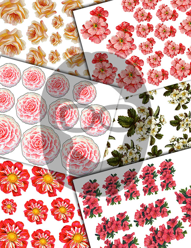 Fussy Cut Flowers, Pink Roses -42pg Digital Download- Junk Journal Kit, Spring Floral Clipart, Flower Bouquet, Vintage Clip Art, Red Roses