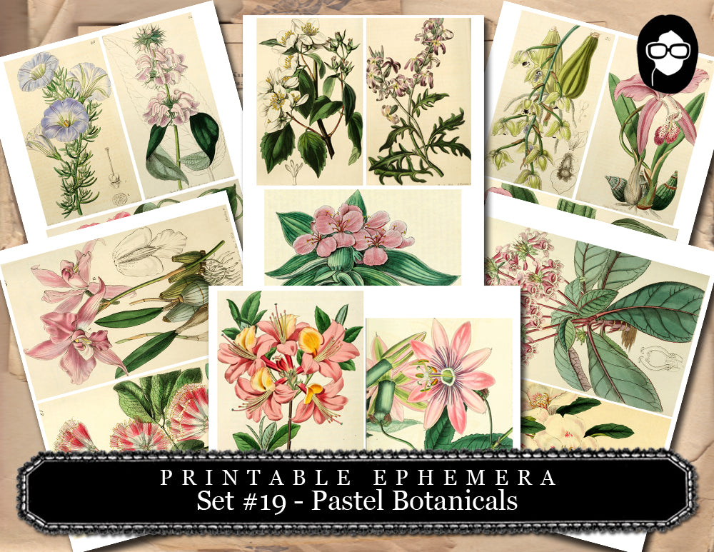 Ephemera Pack - Printable Ephemera Set # 19 - Pastel Botanicals - 30 Page Instant Download, journaling kit, journal cards, journaling card