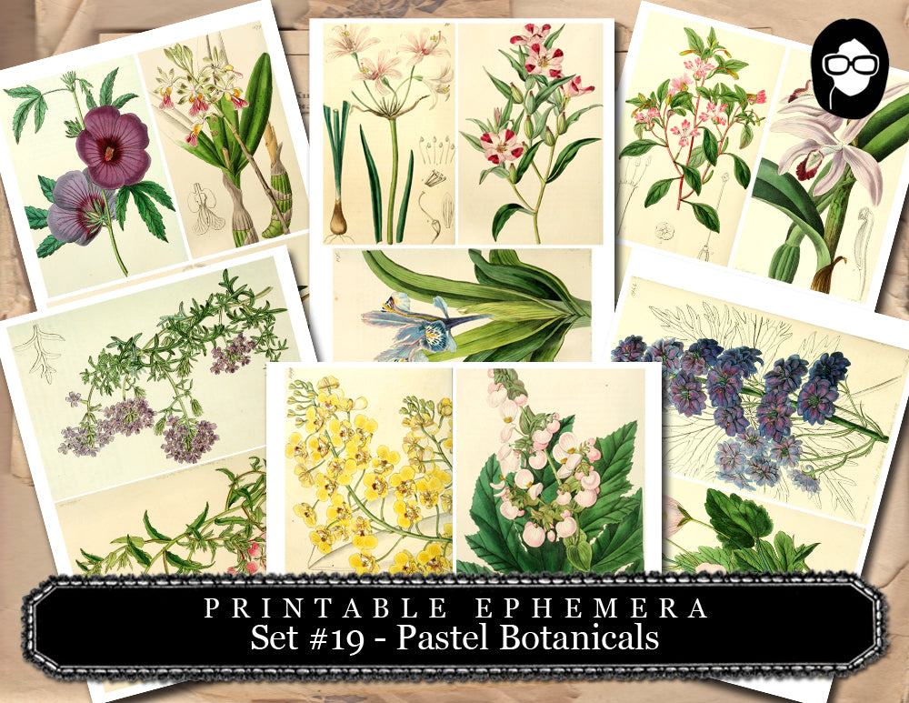 Ephemera Pack - Printable Ephemera Set # 19 - Pastel Botanicals - 30 Page Instant Download, journaling kit, journal cards, journaling card