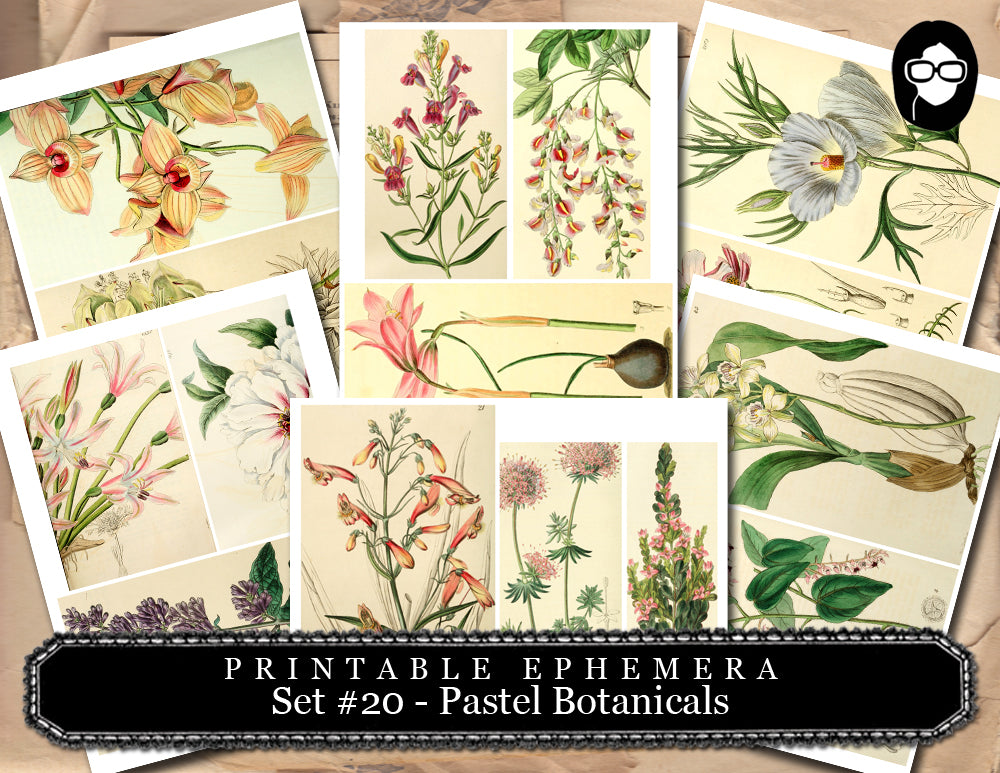 Junk Journal Kit - Printable Ephemera Set #20 - Pastel Botanicals - 30 Page Instant Download, ephemera pack, journal cards, journaling card