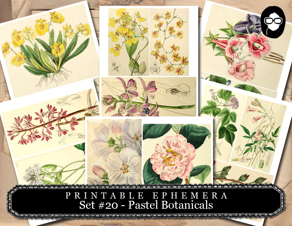 Junk Journal Kit - Printable Ephemera Set #20 - Pastel Botanicals - 30 Page Instant Download, ephemera pack, journal cards, journaling card