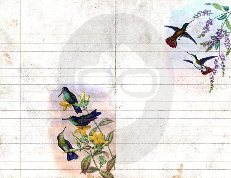 Floral Digital Paper - Hummingbirds Set #2 - 3 Pg Instant Downloads - rose digital paper,  digital paper pack, best digital paper