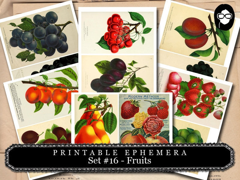 Ephemera Paper Pack - Printable Ephemera Set #16 - Fruit Art - 30 Pg Instant Download - blank journal cards, digital journal kits, fruit