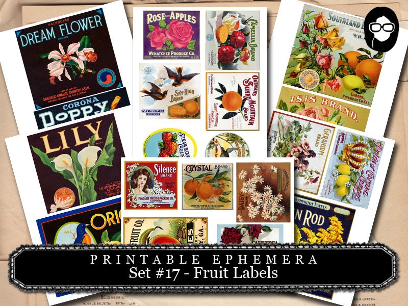 Ephemera Pack - Printable Ephemera Set #17 - Fruit Labels - 25 Page Instant Download - junk journal kit, fruit art, ephemera paper pack