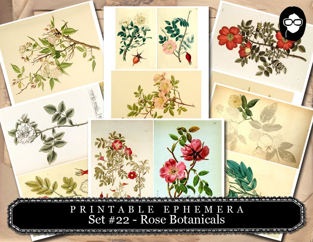 Ephemera Pack - Printable Ephemera Botanical Roses Set #22 - 30 Page Instant Download - junk journal kit, journal cards, ephemera paper pack
