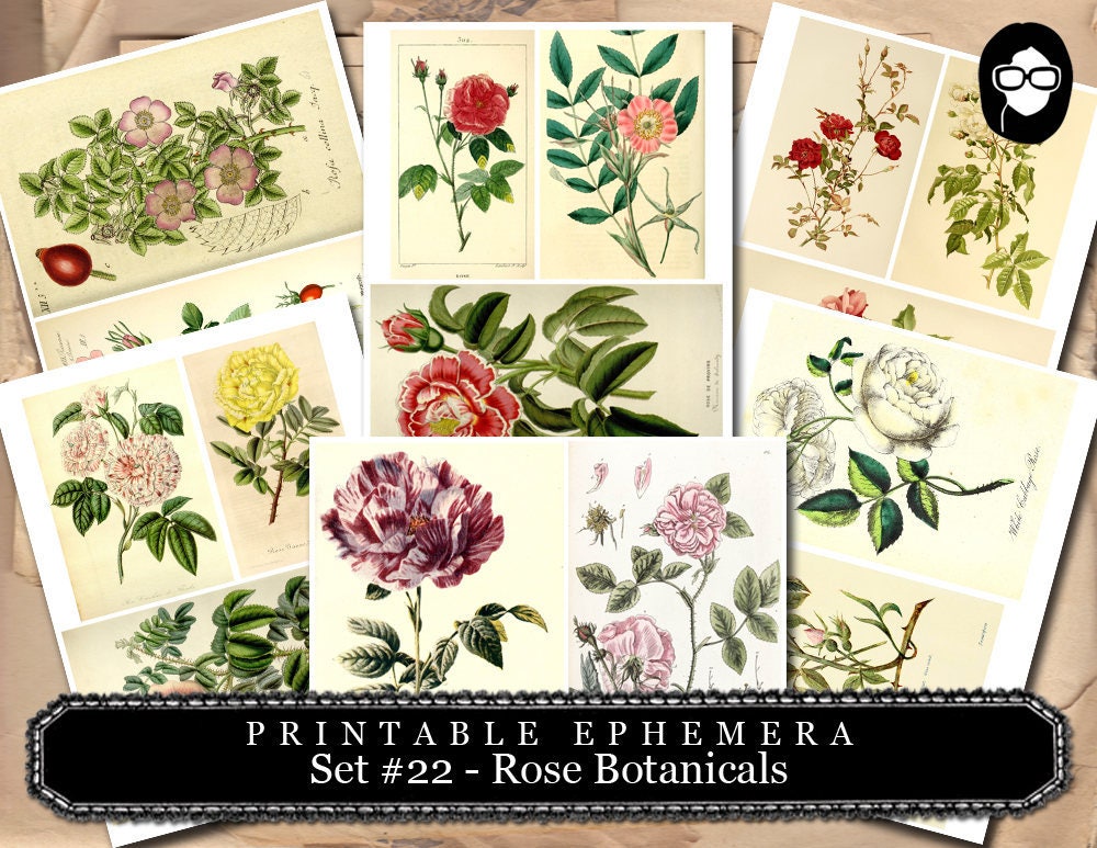 Ephemera Pack - Printable Ephemera Botanical Roses Set #22 - 30 Page Instant Download - junk journal kit, journal cards, ephemera paper pack