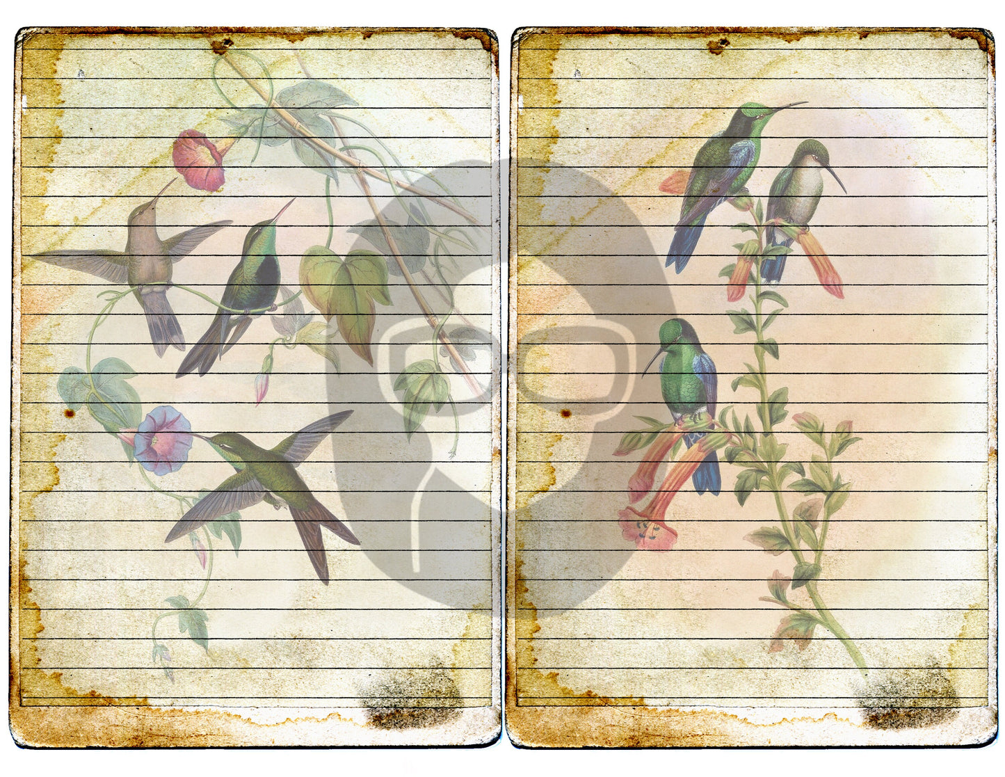 Altered Art Kit - Big Elements #12 Hummingbirds #1 - 3 Pg Instant Download - journal cards, digital journal card, floral clipart