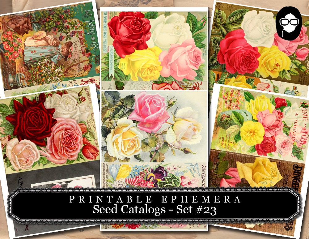 Ephemera Paper Pack - Printable Ephemera Set # 23 - Seed Catalogs - 30 Pg Instant Download - blank journal cards, roses clipart floral