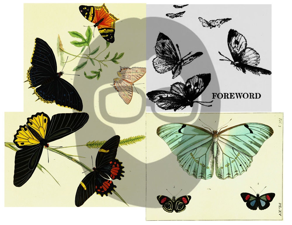 Butterfly Ephemera Pack - Printable Ephemera Set #38 - 30 Page Instant Download - junk journal kit, fruit art, ephemera paper pack