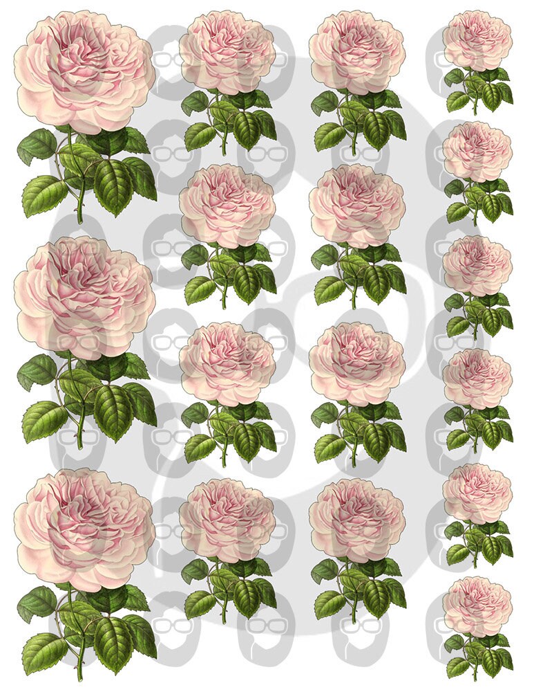 Bouquet Clipart - Decoupage Flowers Set #22 - 8 Page Instant Download -  roses clipart floral, pink rose clipart, roses flower clipart