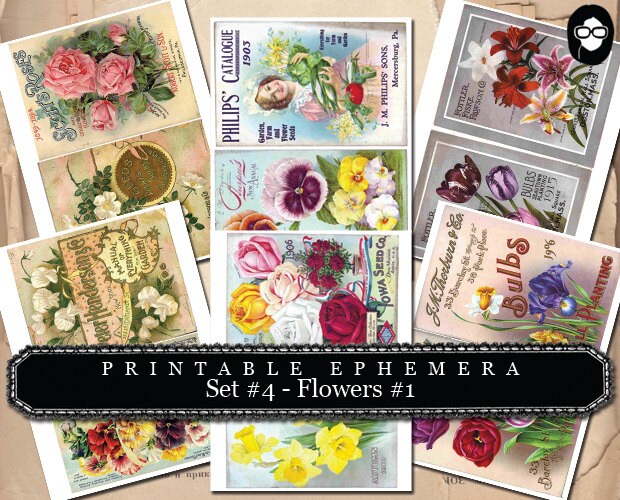 Blank Journal Cards - Set #4 Flowers #1 - 30 Pg Instant Download - digital collage, digital journal kits, roses clipart floral, ephemera kit