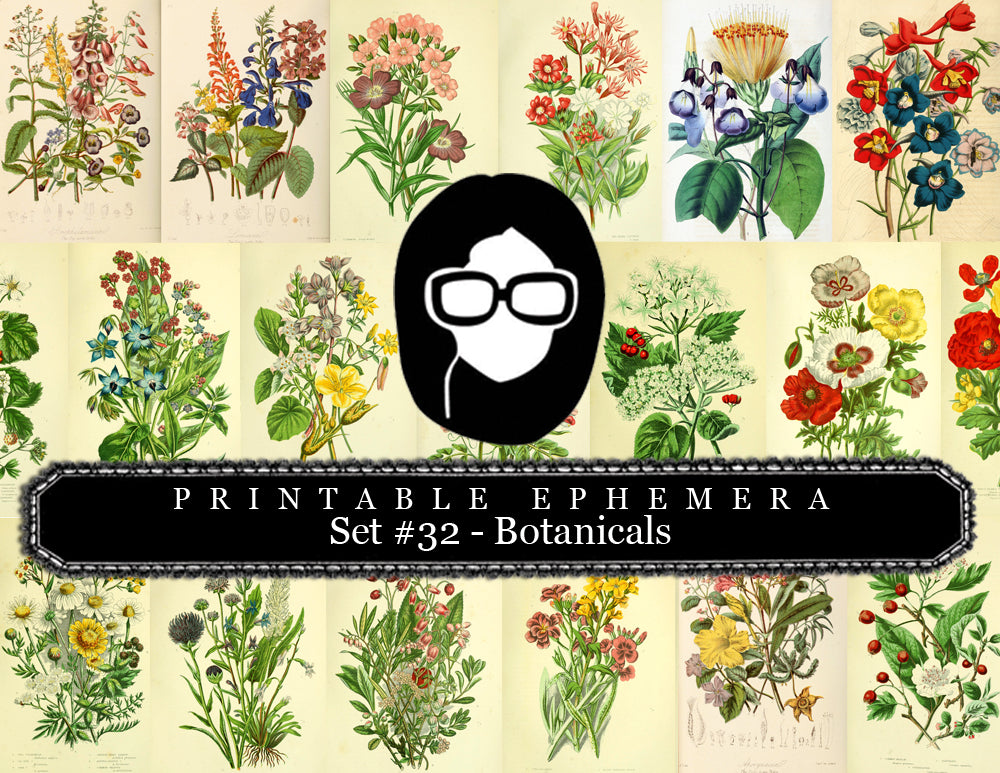 Botanical Print Set Ephemera Pack - Printable Ephemera Set #32 - 13 Page Instant Download, journaling kit, journal cards, journaling card