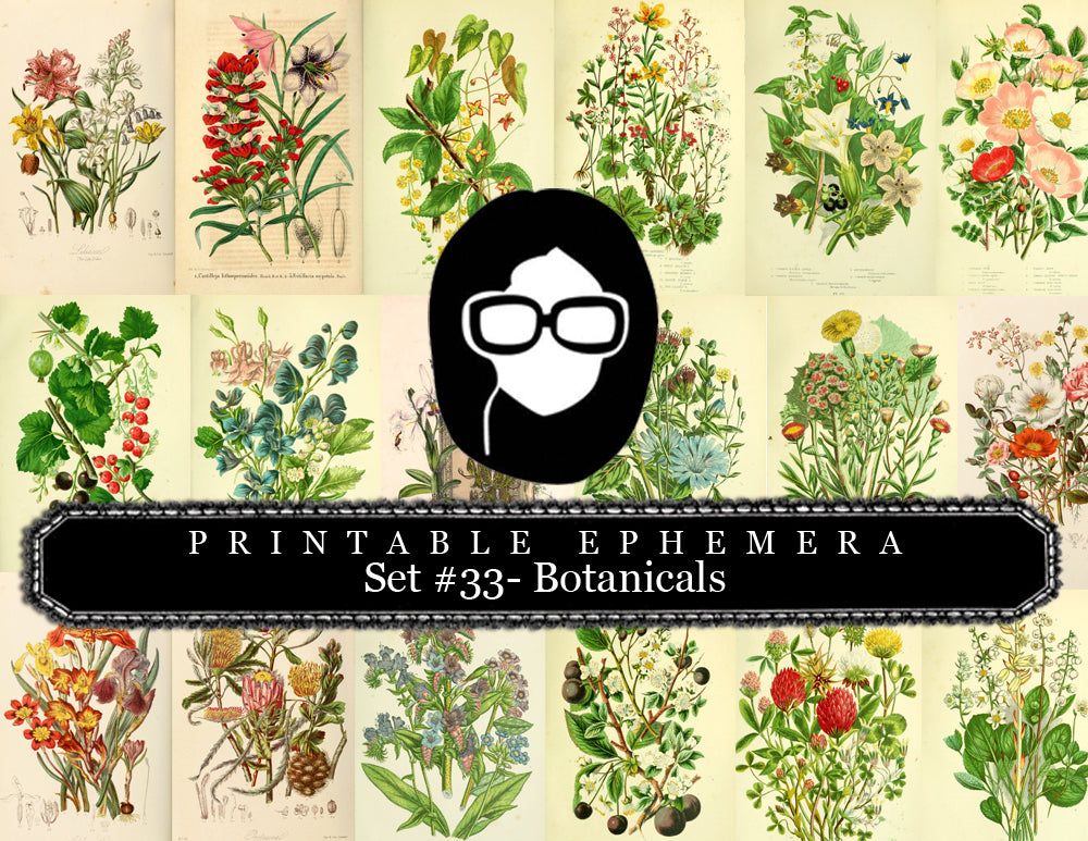 Botanical Print Set Ephemera Pack - Printable Ephemera Set #33 - 13 Page Instant Download, journaling kit, journal cards, journal pages