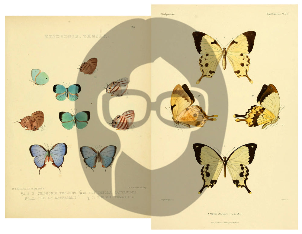 Butterflies Ephemera Pack - Printable Ephemera Set #39 - 30 Page Instant Download - junk journal kit, fruit art, ephemera paper pack