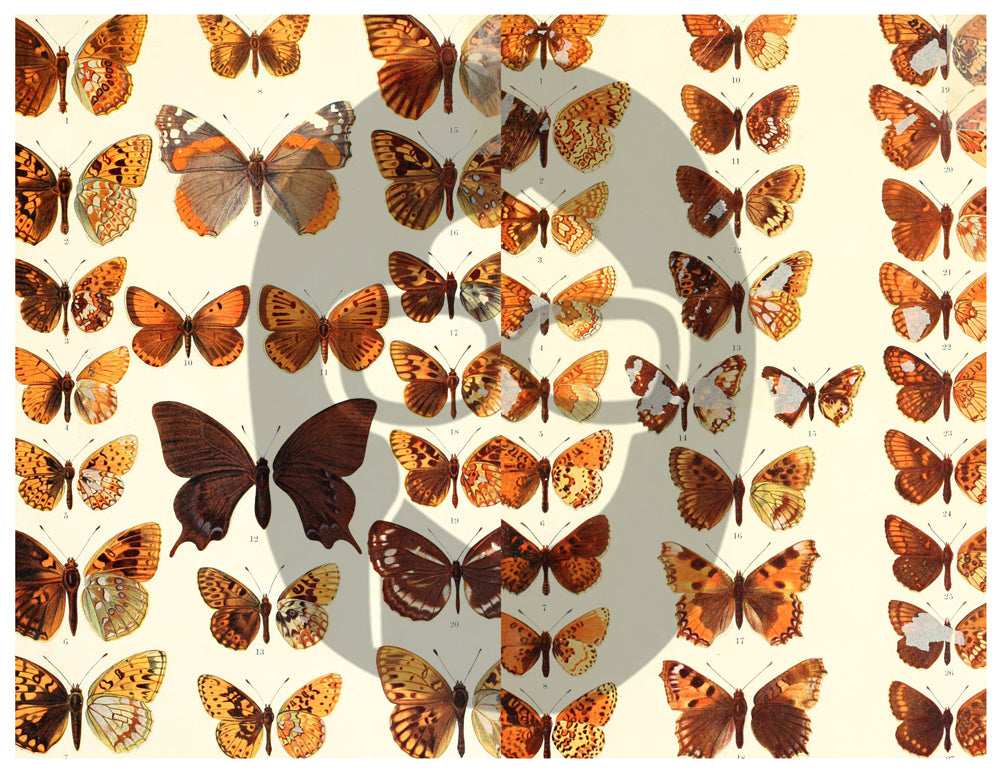 Butterflies Ephemera Pack - Printable Ephemera Set #39 - 30 Page Instant Download - junk journal kit, fruit art, ephemera paper pack