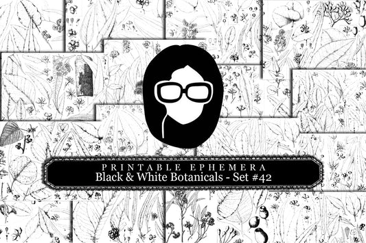 Ephemera Pack - Printable Ephemera Set #42 - Black & White Botanicals - 30 Page Instant Download, journaling kit, journal pages