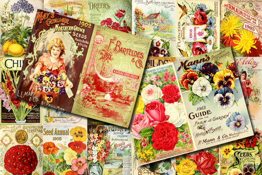 Vintage Seed Catalog Ephemera Printable Paper Pack - Set #72 - 30 Pg Instant Download - digital journal kits, roses clipart floral