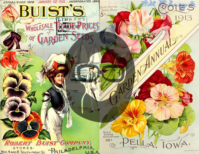 Vintage Seed Catalog Ephemera Printable Paper Pack - Set #72 - 30 Pg Instant Download - digital journal kits, roses clipart floral