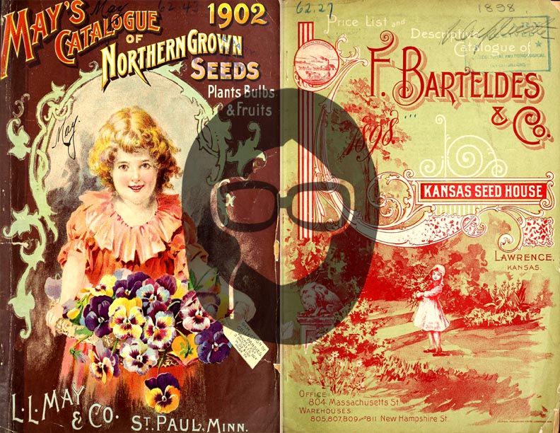 Vintage Seed Catalog Ephemera Printable Paper Pack - Set #72 - 30 Pg Instant Download - digital journal kits, roses clipart floral