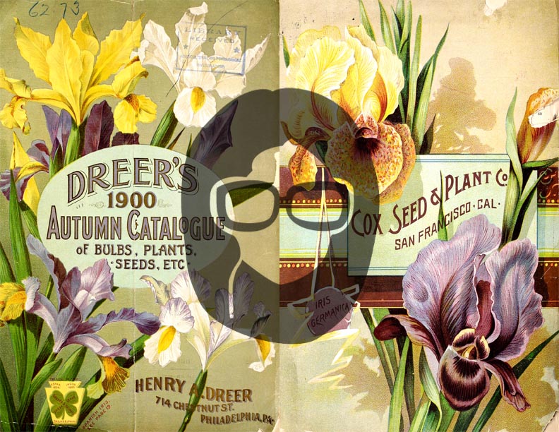 Vintage Seed Catalog Ephemera Printable Paper Pack - Set #72 - 30 Pg Instant Download - digital journal kits, roses clipart floral