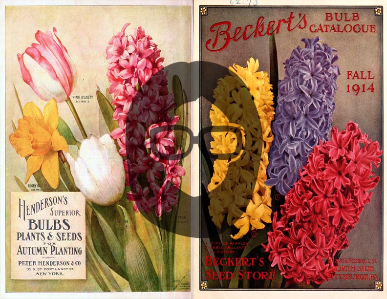 Vintage Seed Catalog Ephemera Printable Paper Pack - Set #72 - 30 Pg Instant Download - digital journal kits, roses clipart floral