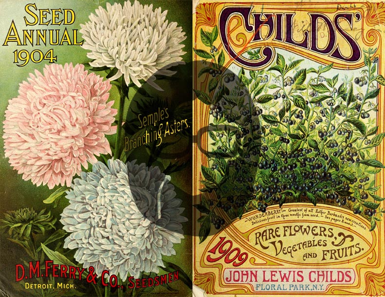 Vintage Seed Catalog Ephemera Printable Paper Pack - Set #79 - 30 Pg Instant Download - digital journal kits, roses clipart floral