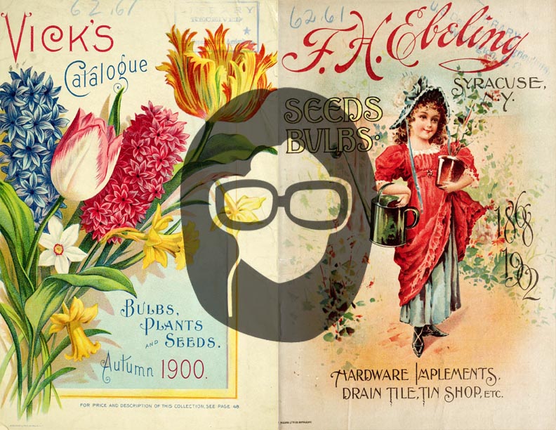 Vintage Seed Catalog Ephemera Printable Paper Pack - Set #72 - 30 Pg Instant Download - digital journal kits, roses clipart floral