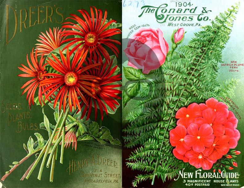 Vintage Seed Catalog Ephemera Printable Paper Pack - Set #81 - 30 Pg Instant Download - digital journal kits, roses clipart floral