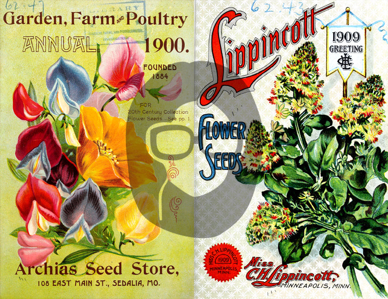 Vintage Seed Catalog Ephemera Printable Paper Pack - Set #81 - 30 Pg Instant Download - digital journal kits, roses clipart floral