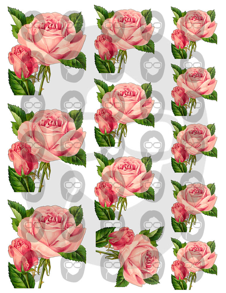 Pink Rose Clipart - Decoupage Flowers Set #23 - 8 Page Instant Download - clipart floral, roses clipart, digital floral