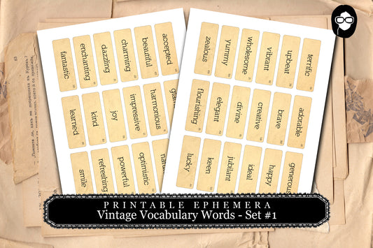 Vintage Vocabulary Cards Set #2 - 2 Page Instant Download - ephemera pack, altered art kit, junk journal kit, blank journal cards